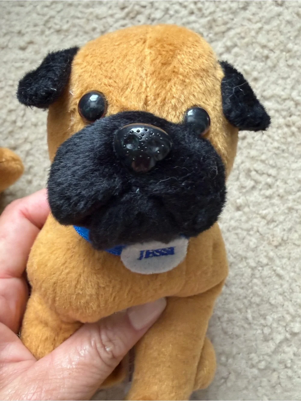 Plush Pug Dog stuffies - promotional for Jet Support askjessi